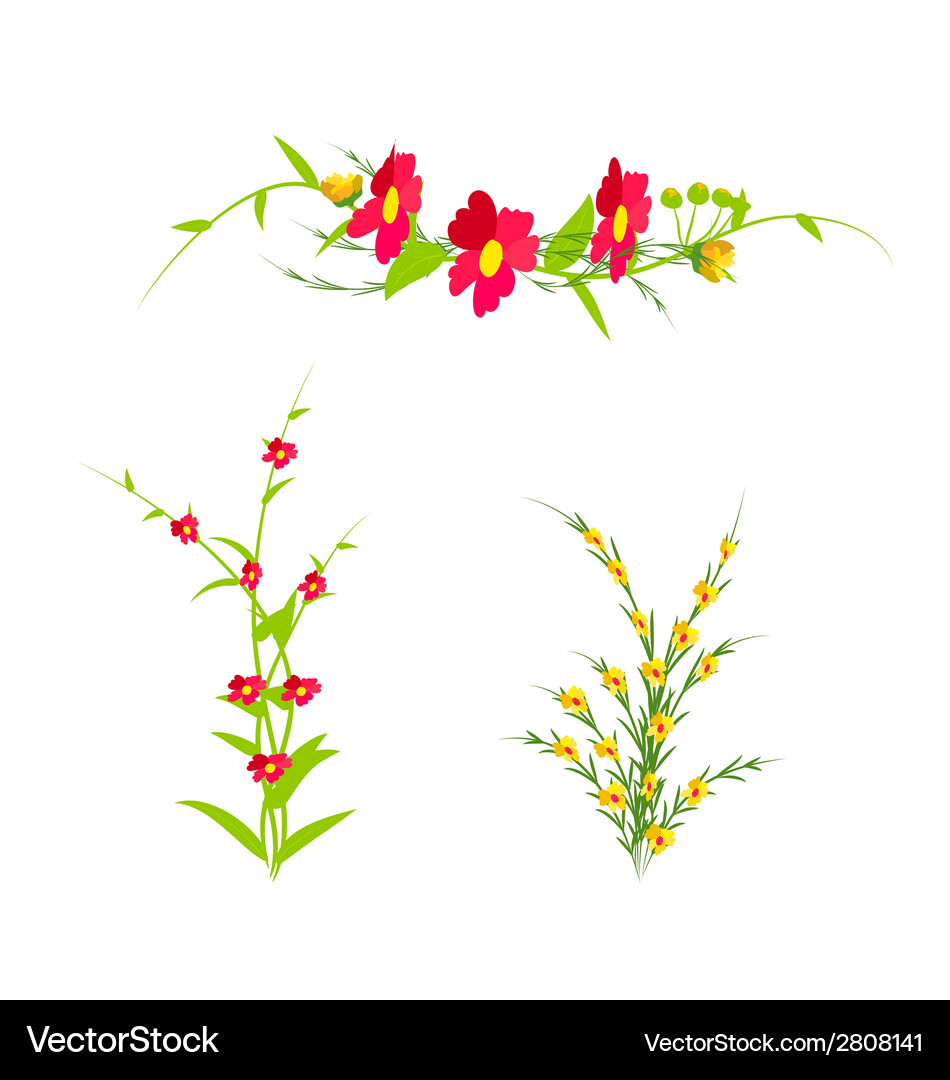 Flowers set Royalty Free Vector Image - VectorStock