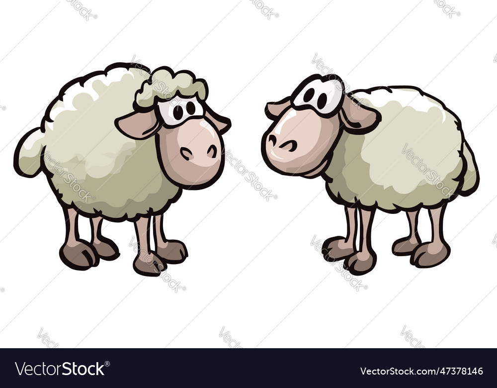 Adorable Farm Sheep