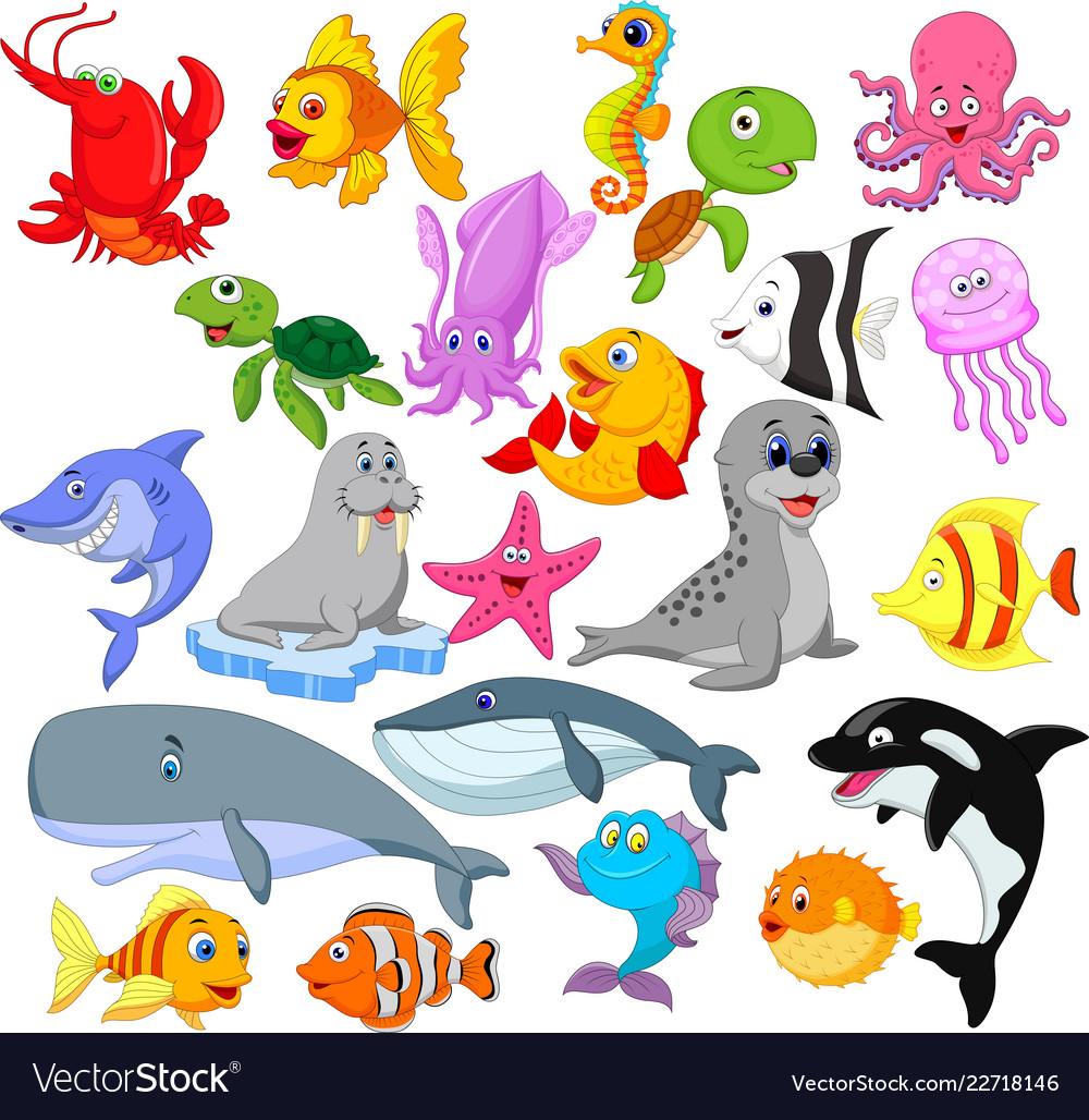 Cartoon sea life collection set Royalty Free Vector Image