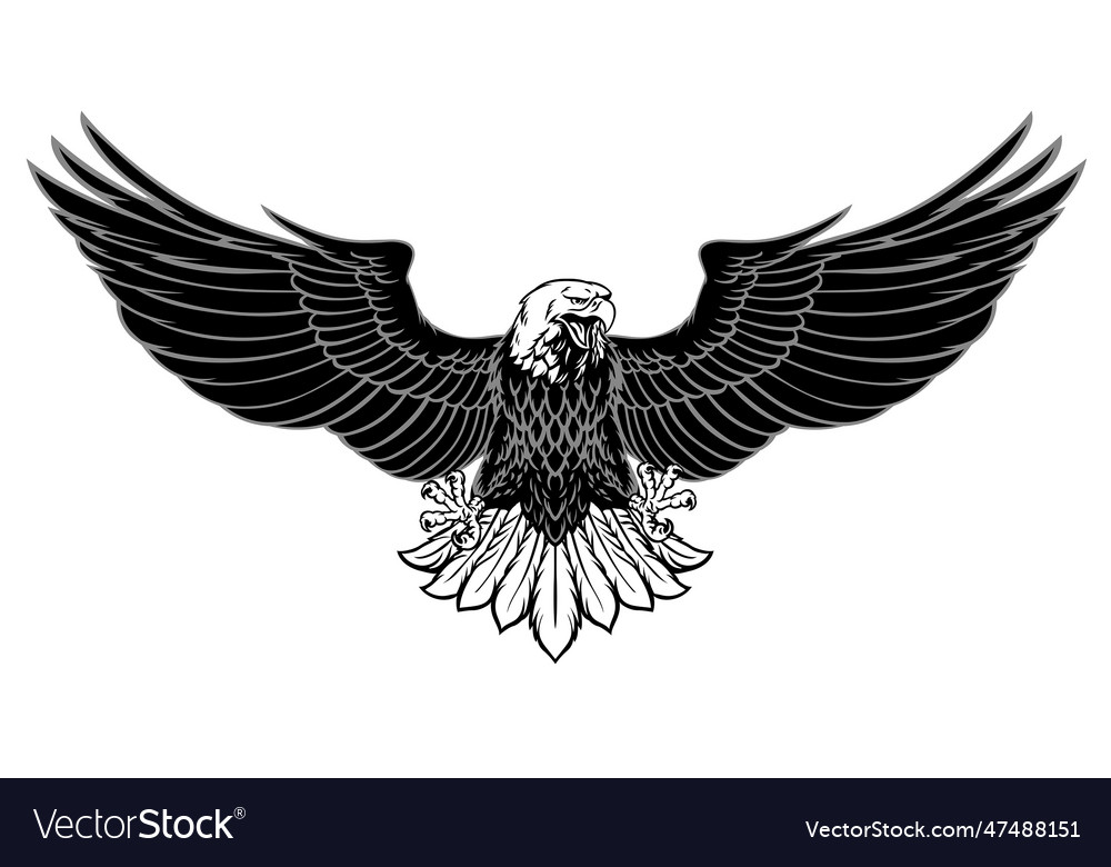 Black and white powerful eagle spread the wings Vector Image