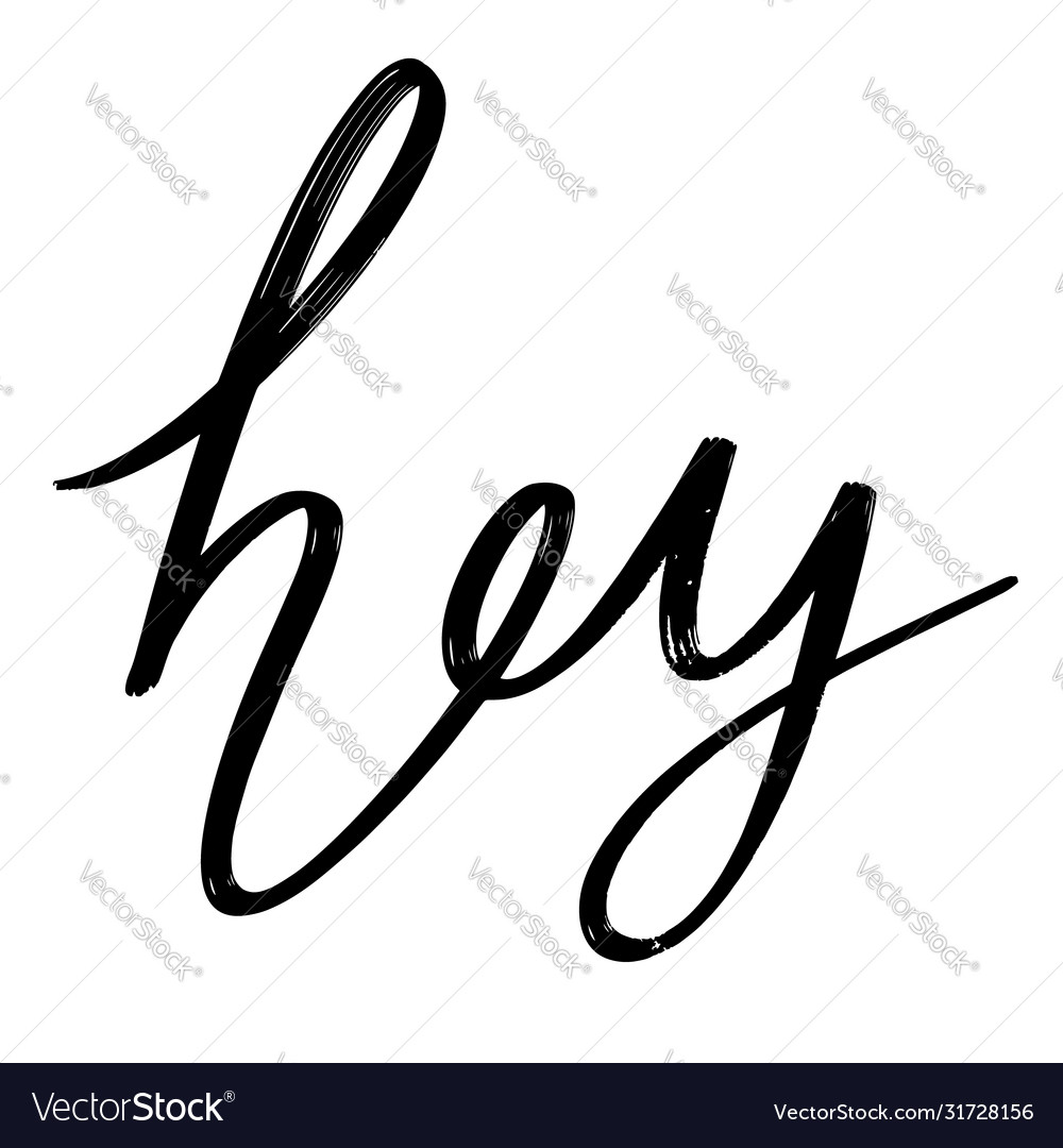 Hey Hand Drawn Lettering Isolated Template Vector Image 5572