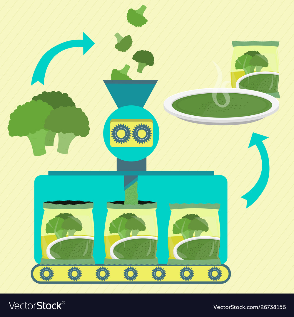 Series line production broccoli soup