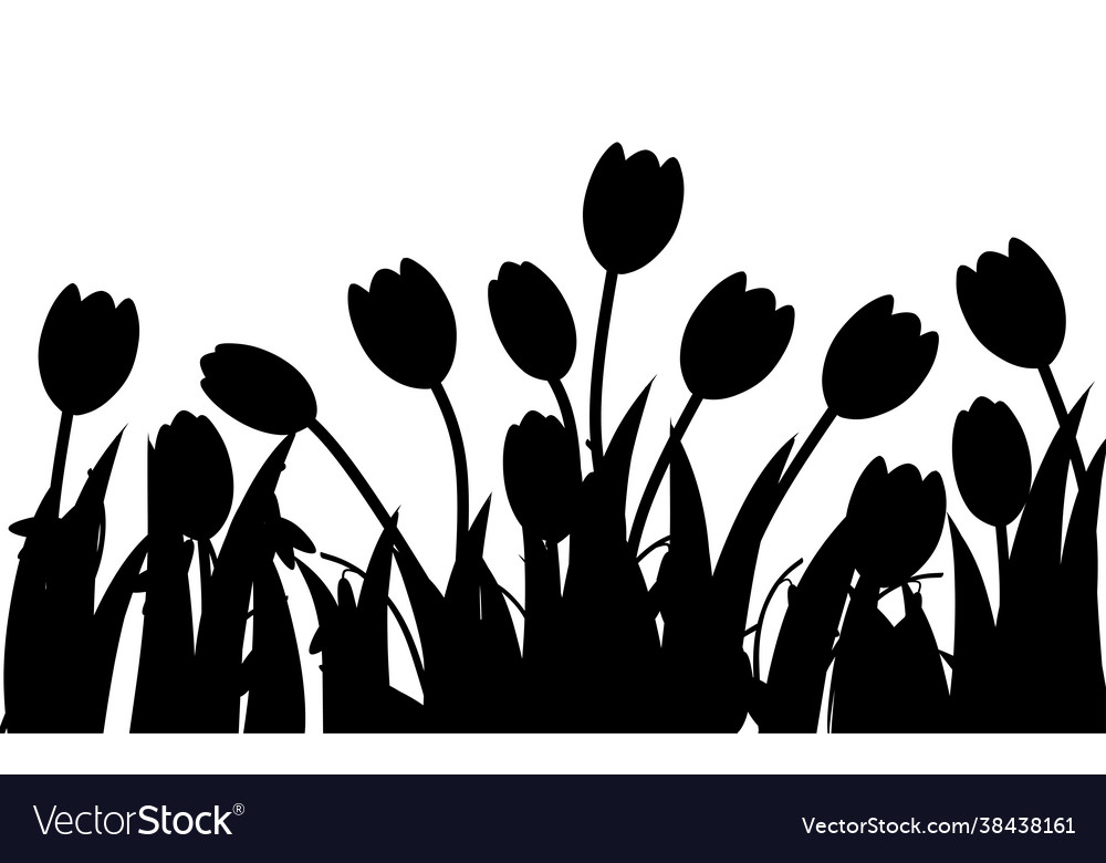 Black silhouette spring pink tulip and galantus Vector Image