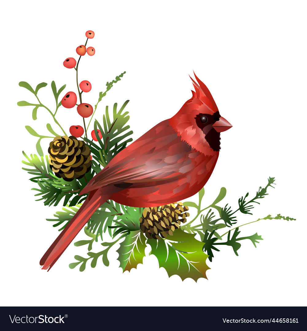 Christmas Cardinal Clipart