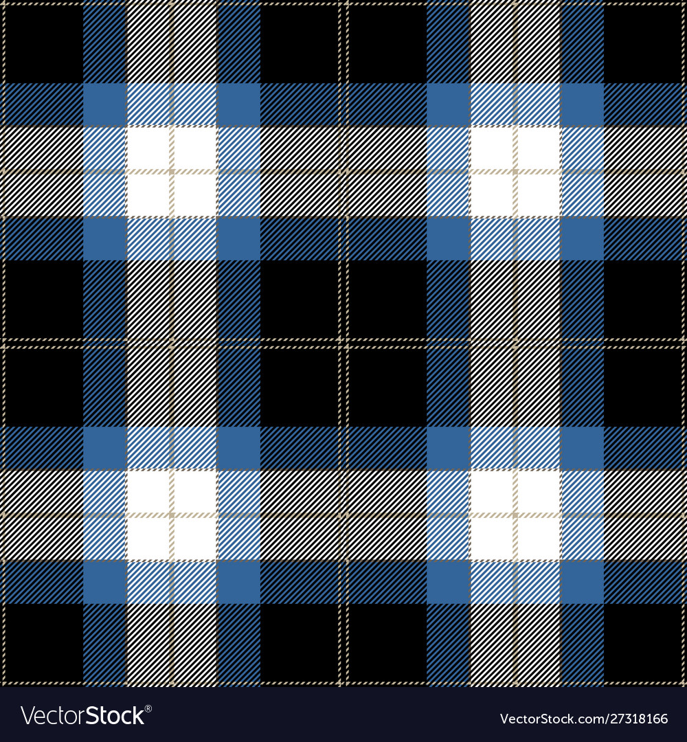 Blue and black tartan plaid seamless pattern Vector Image