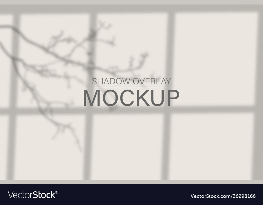 Shadow overlay effect transparent shadows from