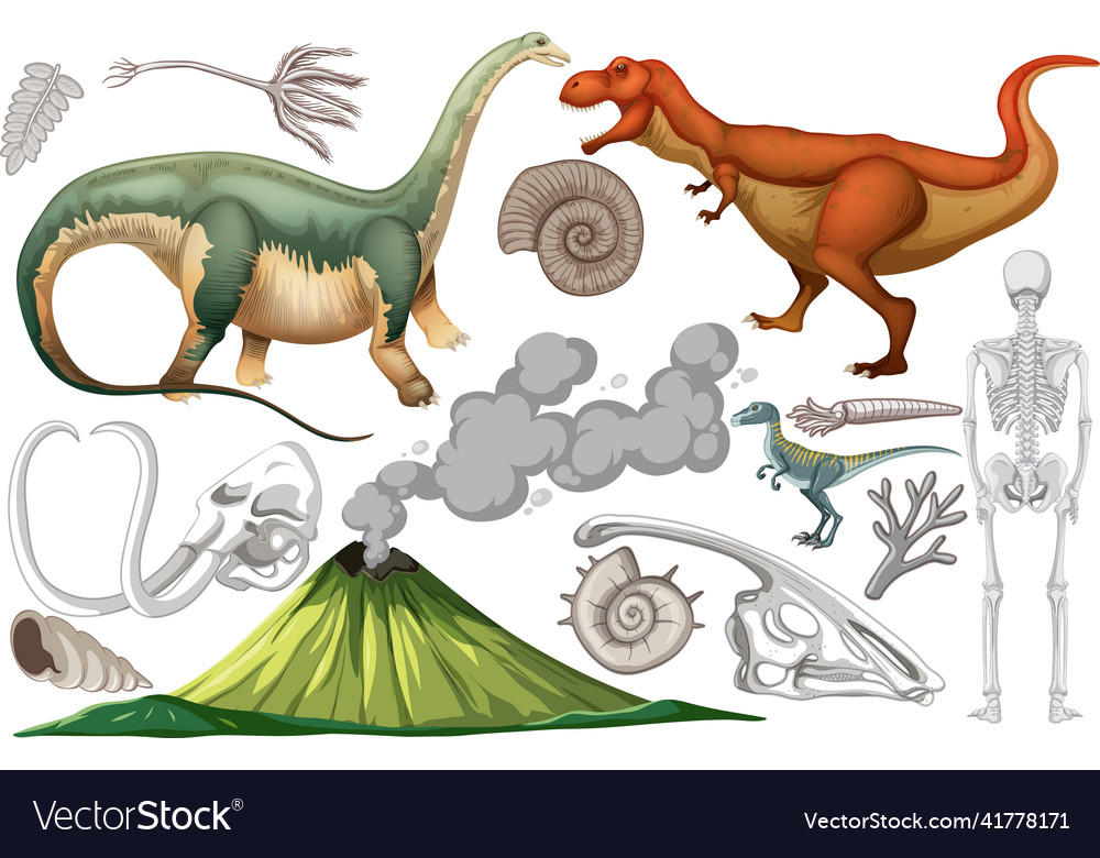 A set of dinosaur and fossil Vector Image A set of dinosaur and fossil