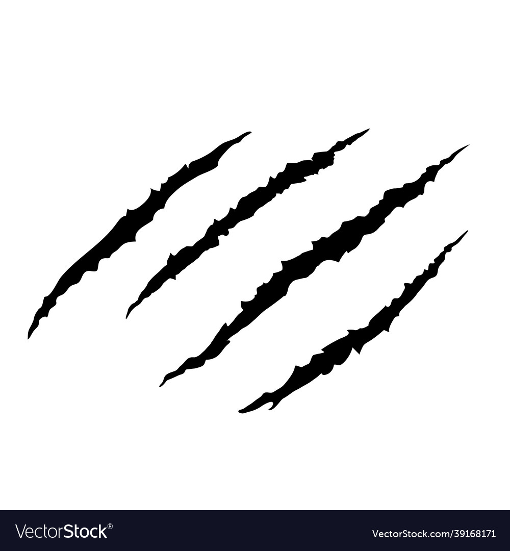 Black four trace of monster or bear claw Vector Image