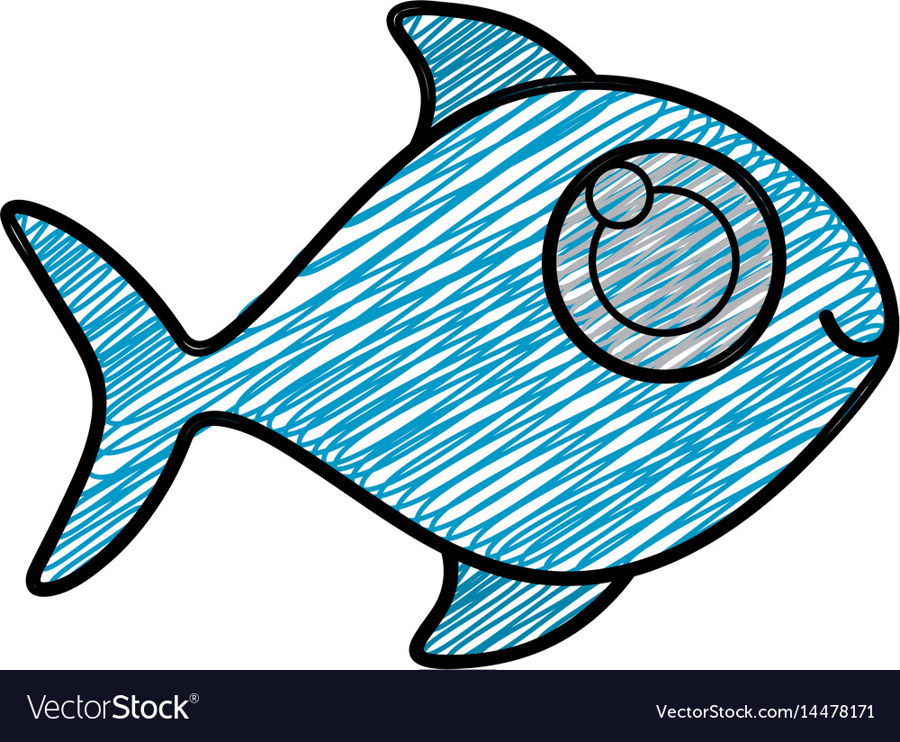 Color pencil drawing of fish without scales Vector Image