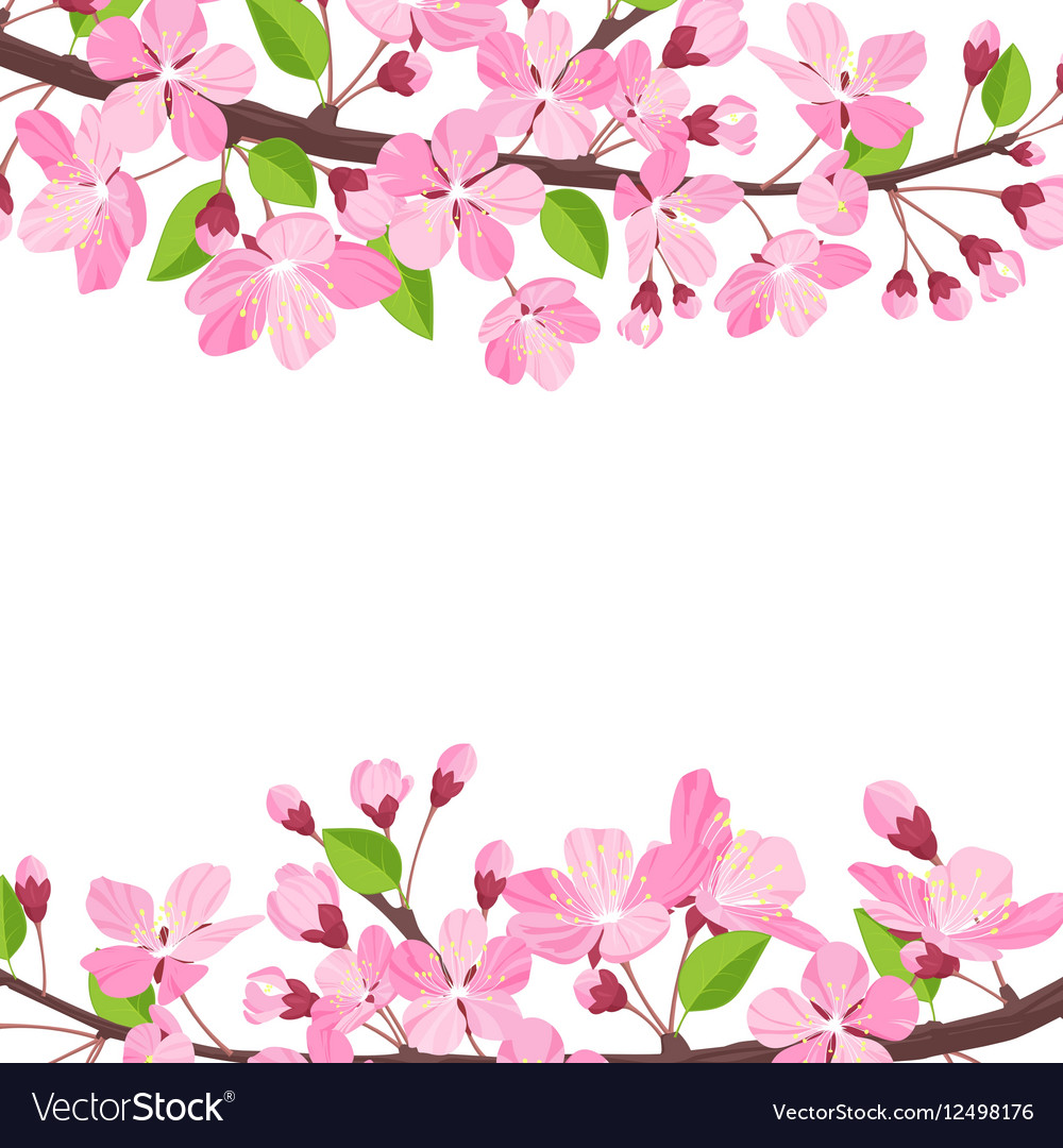 Blossoming cherry spring background apple tree