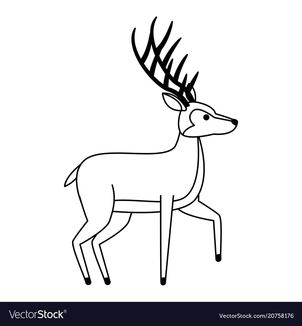 Deer wild animal on black and white Royalty Free Vector