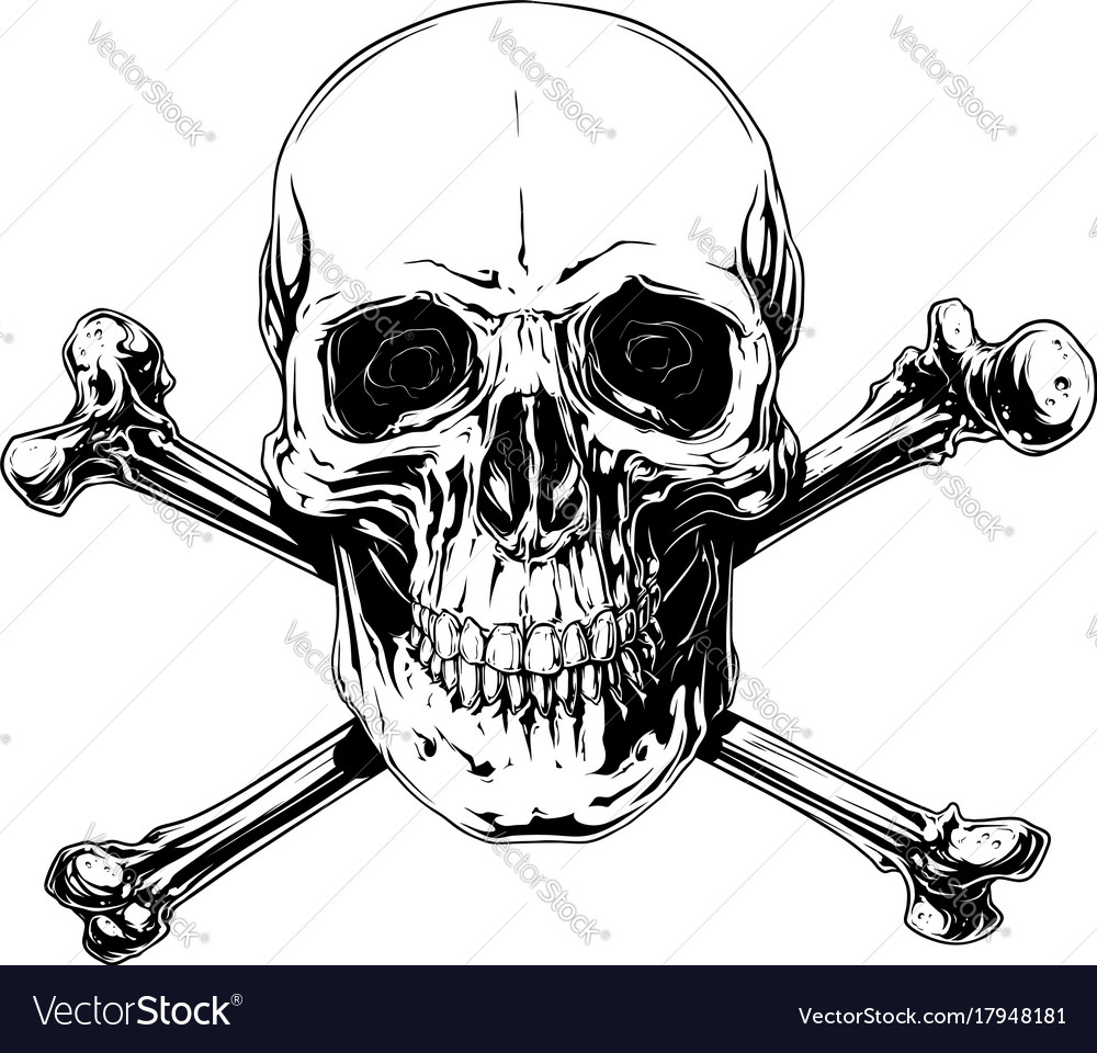 Skull and bones stock illustration. Illustration of skull - 111370654,  skull and bones 