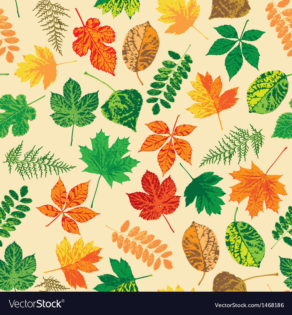 Autumn leaves seamless pattern