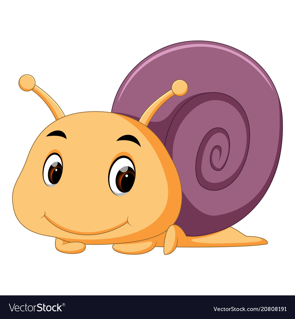 A comical snail Royalty Free Vector Image - VectorStock