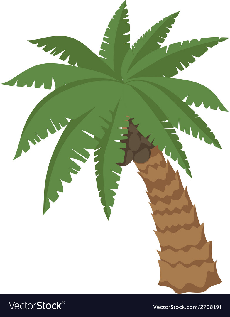 Big palm