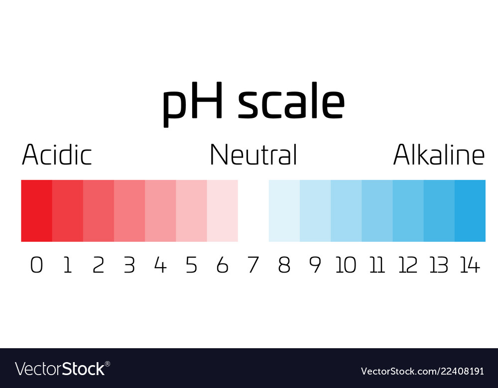 Ph Scale Indicator Of Ph Value Expressing Rate Of Vector Image