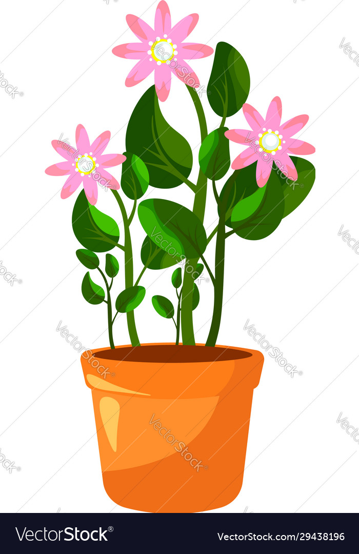 Cartoon green house plants in pots set leaf Vector Image Cartoon green house plants in pots set leaf Vector Image