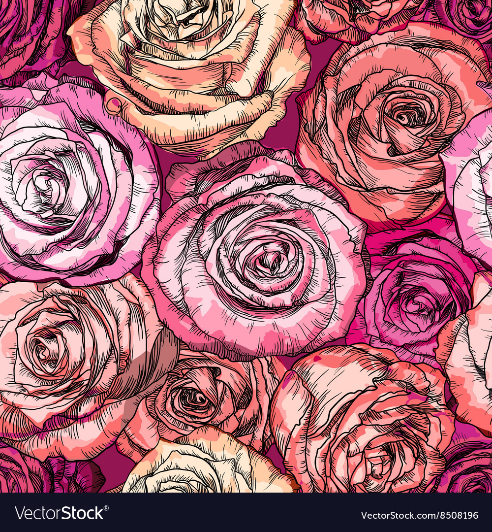 Cabbage Rose Wallpapers HD Cabbage Rose Backgrounds Free Images Download