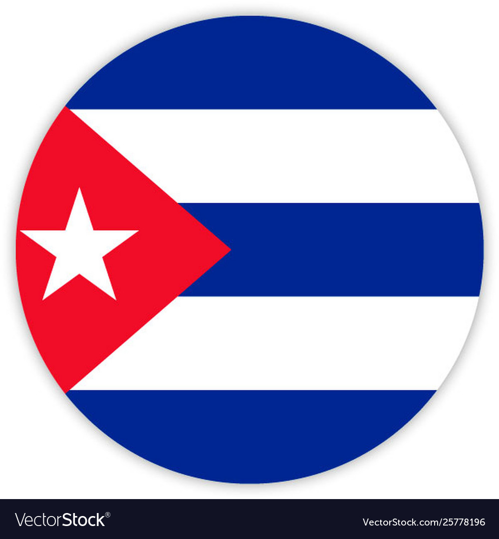 Simple round flag vector image Simple round flag