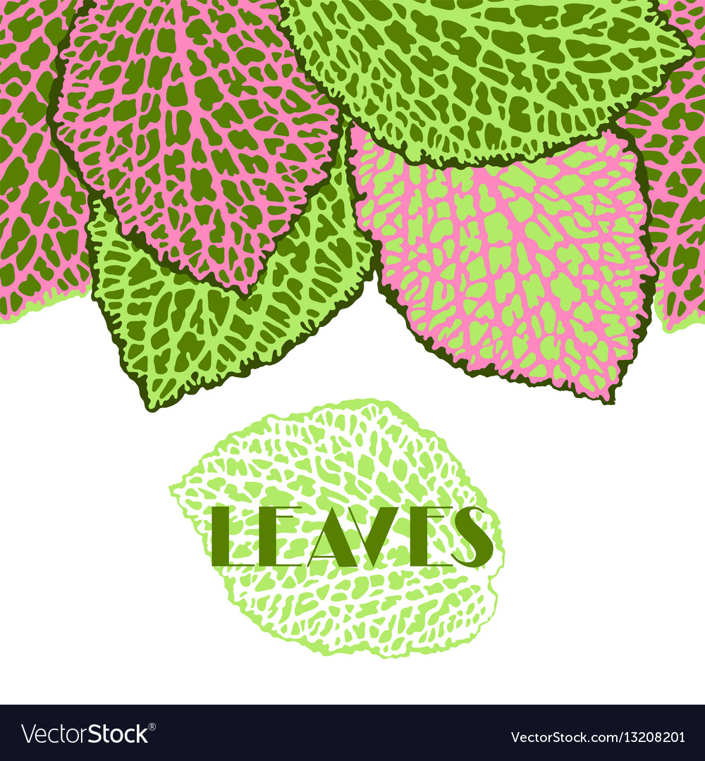 Leafy Border - Botanical Seamless Pattern