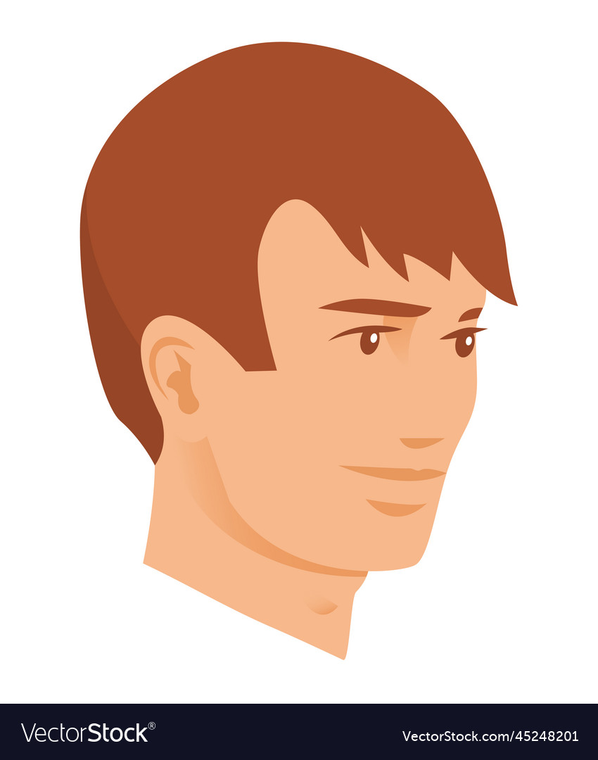 Portrait of a young man on white background Vector Image