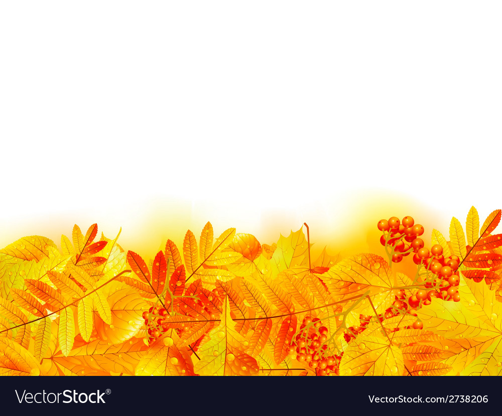 Autumn banner template with maple leaf