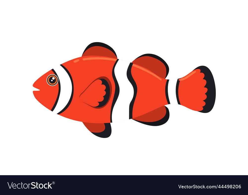 Cartoon orange fish in flat style of sea fish Vector Image Cartoon orange fish in flat style of sea fish Vector Image
