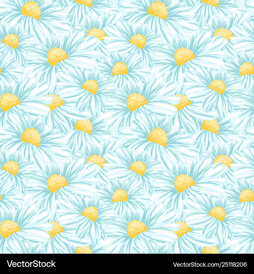 Chamomile or daisy seamless pattern Royalty Free Vector