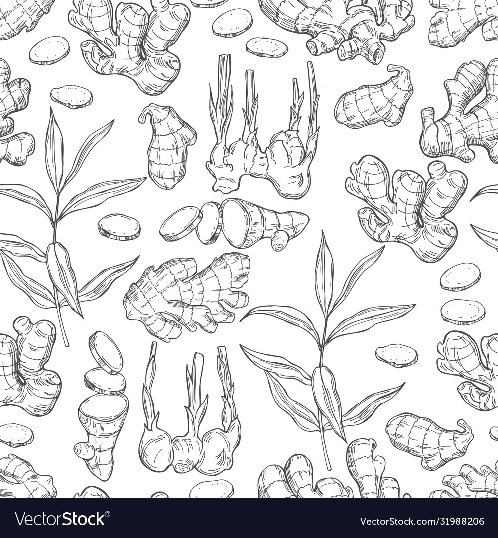 Ginger Root Leaf Pattern