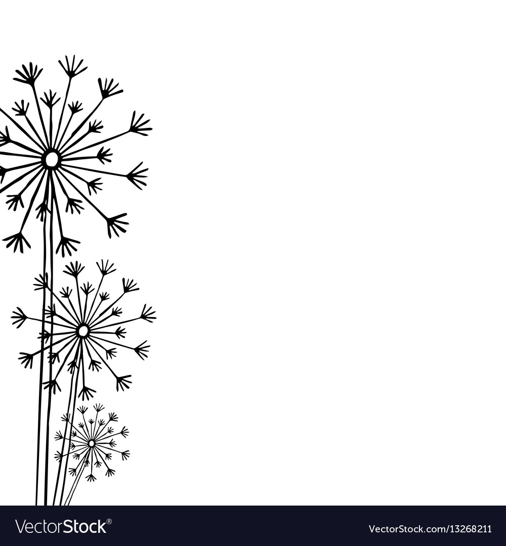 Hand drawn black silhouette three dandelion