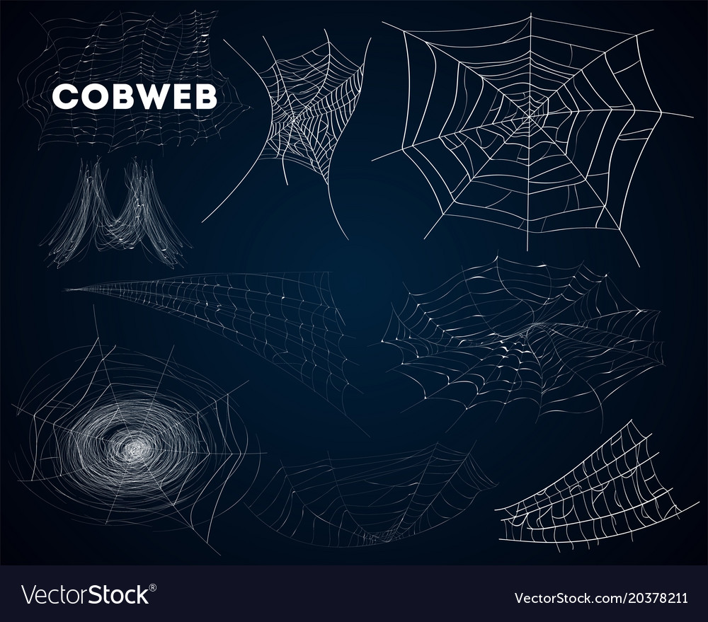 Spider Webs - Eerie Collection