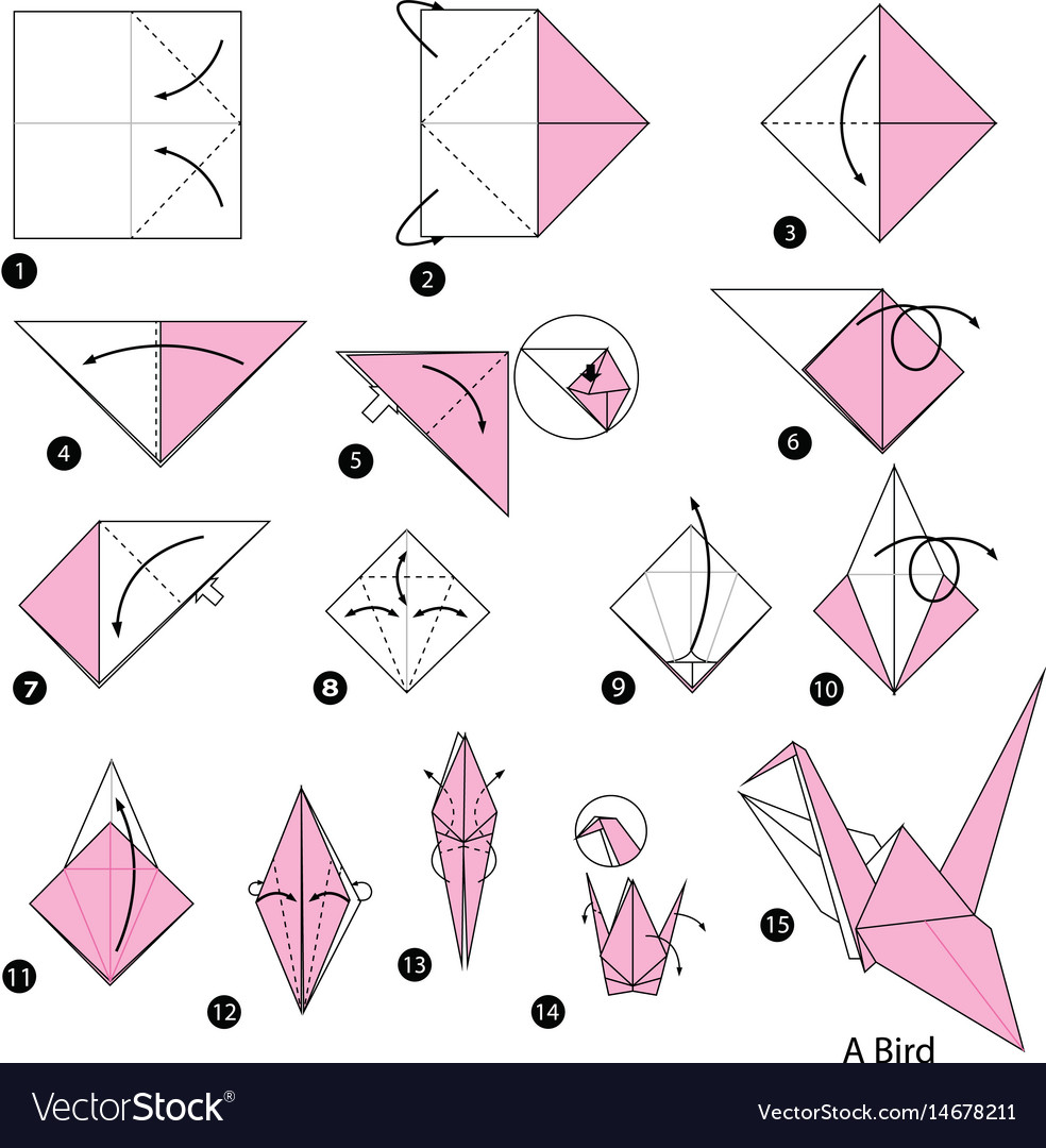 Step by instructions how to make origami Vector Image