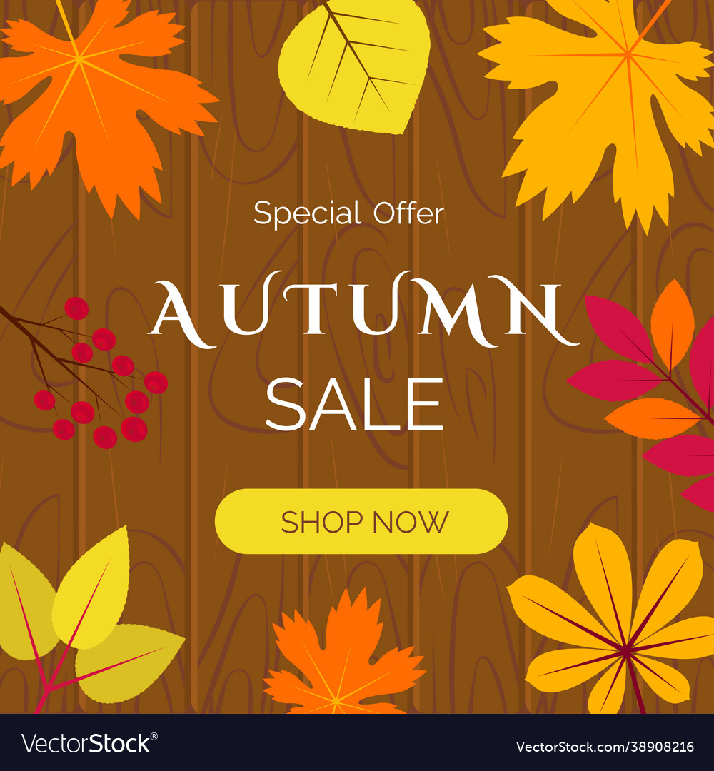 Autumn sale banner with orange and yellow leaves Vector Image