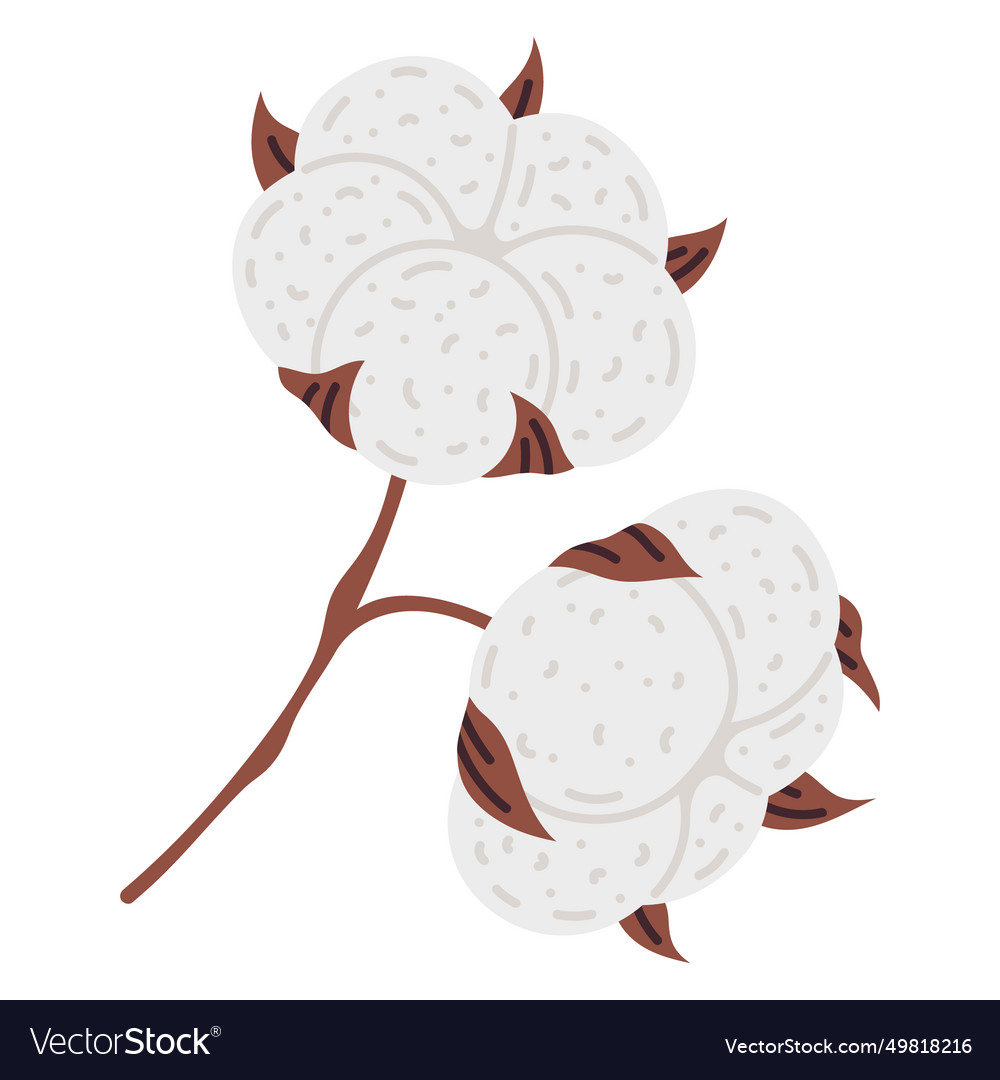 Cartoon Cotton Flower Cute Doodle Ripe White Vector Image