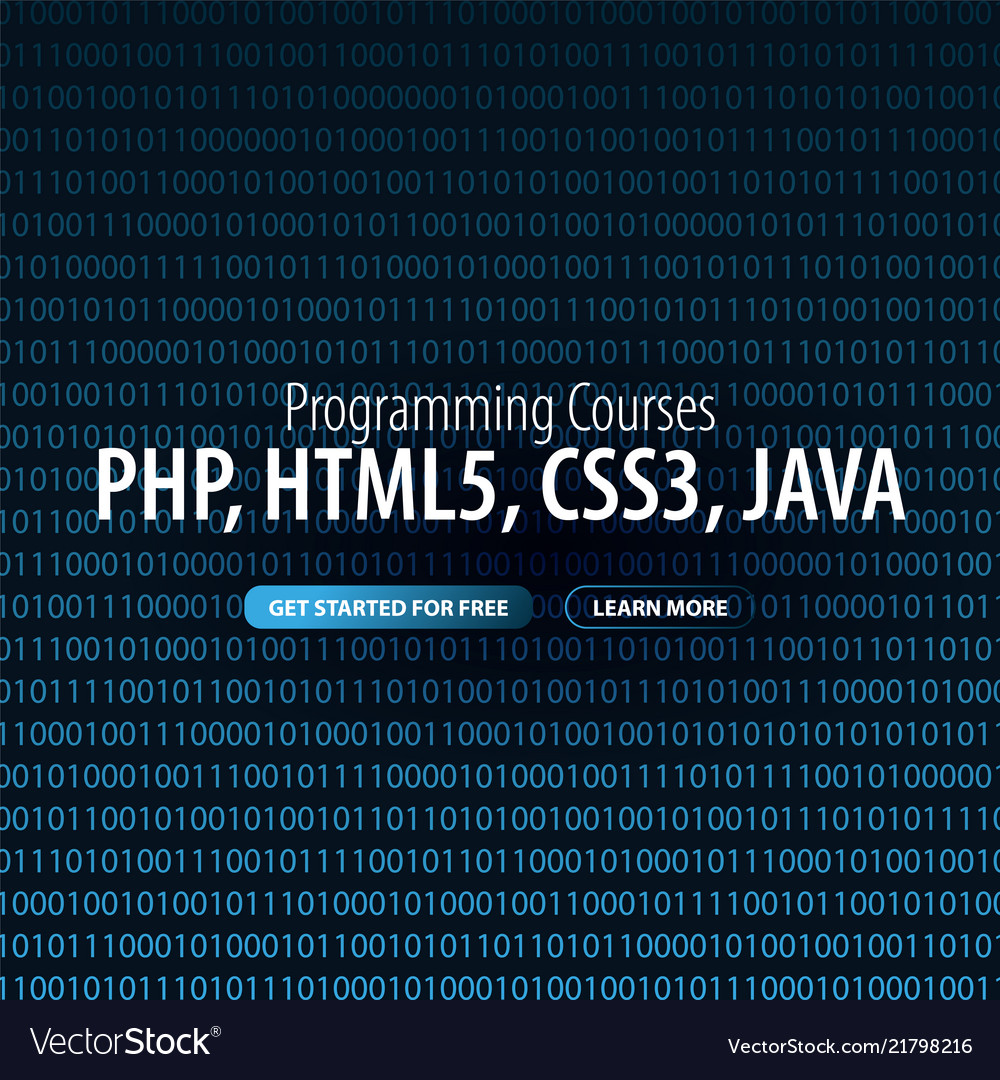 Programming courses banner for social media Vector Image