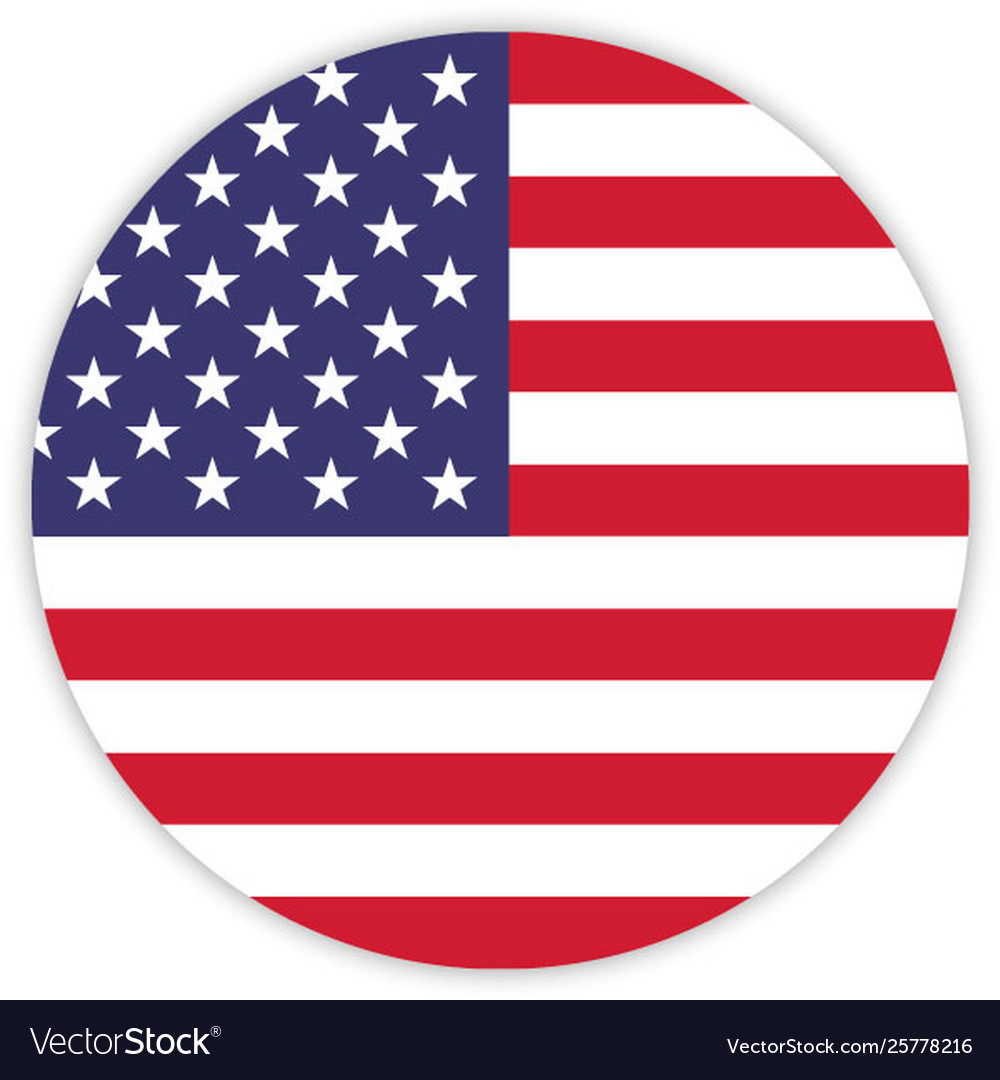 Simple round flag vector image Simple round flag