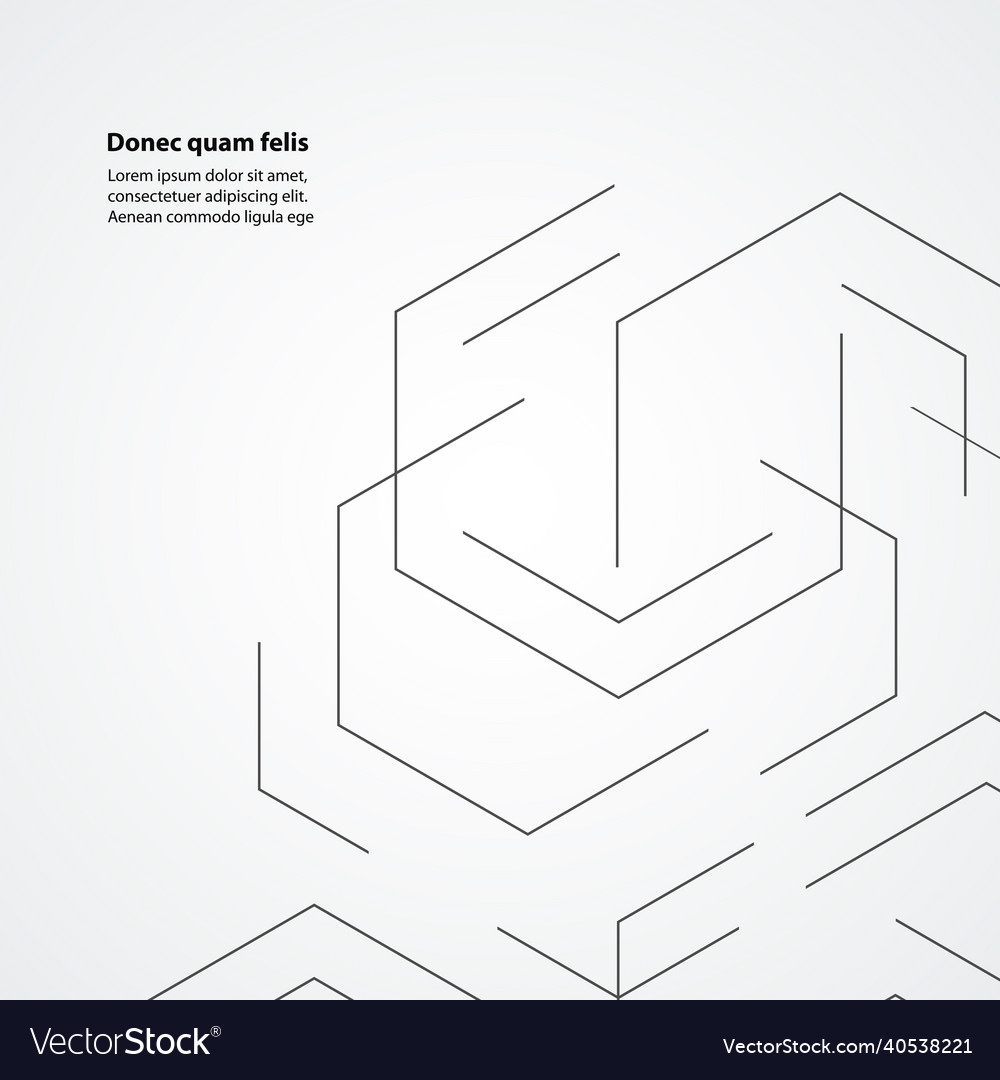 Design with connect hexagon Vector Image Design with connect hexagon