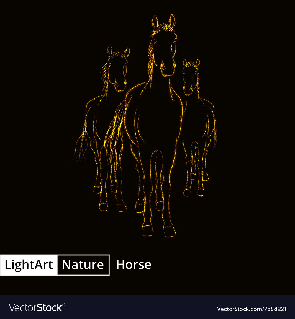 Horse silhouette of lights on black background