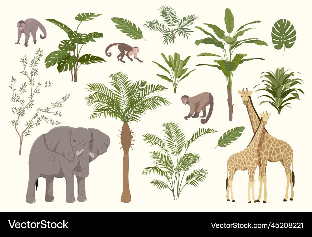 Jungles trees and animals set Royalty Free Vector Image