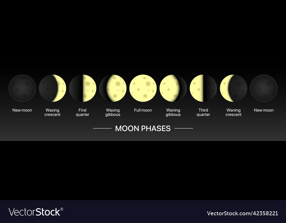 Moonlight movement calendar horizontal banner vector image Moonlight movement calendar horizontal banner