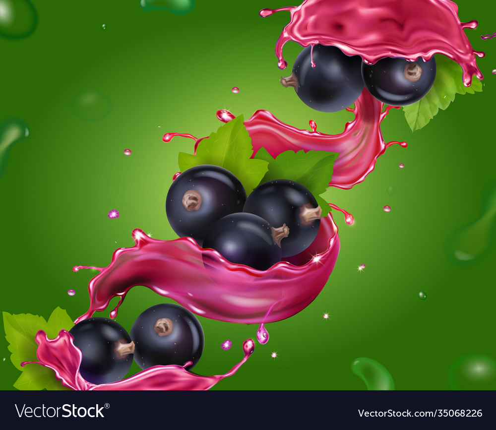 Blackcurrant currant berry in juice splash Vector Image