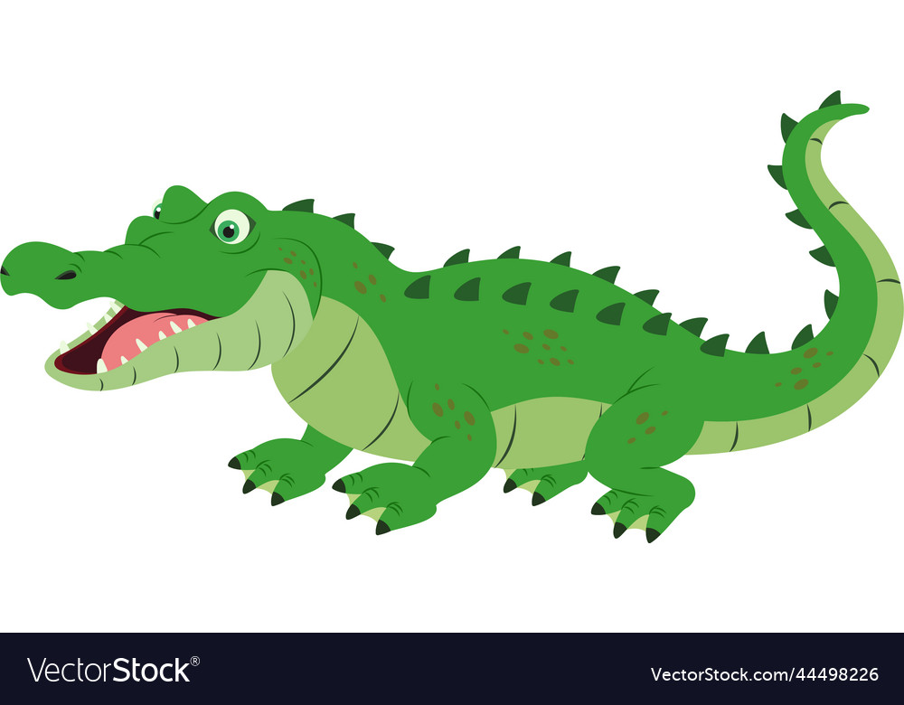 Cartoon crocodile Royalty Free Vector Image - VectorStock