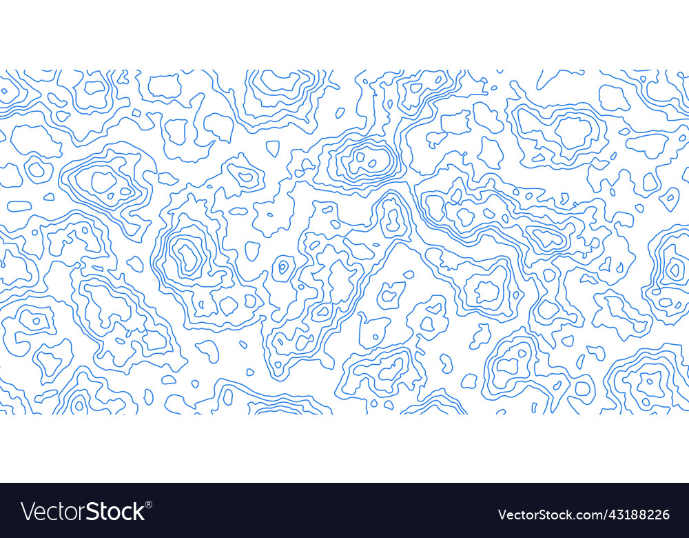 Topography white map seamless pattern with blue Vector Image