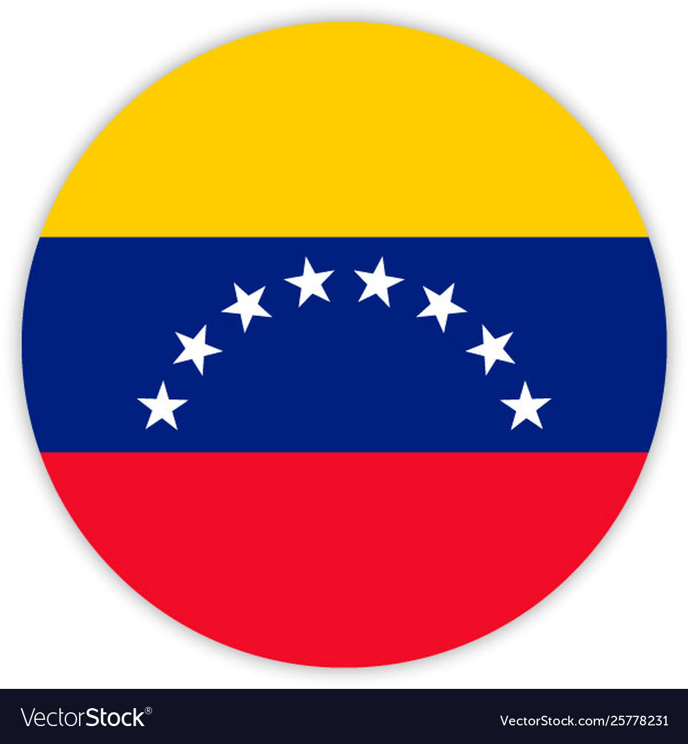 Simple round flag vector image Simple round flag
