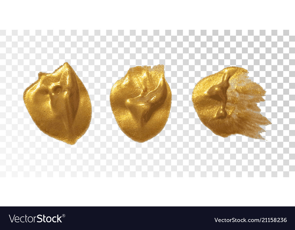 Collection of golden paint strokes vector image Collection of golden paint strokes