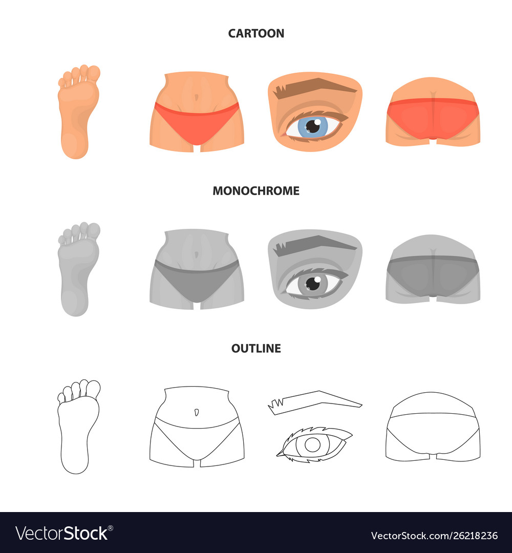 Isolated object body and part logo set vector image Isolated object body and part logo set