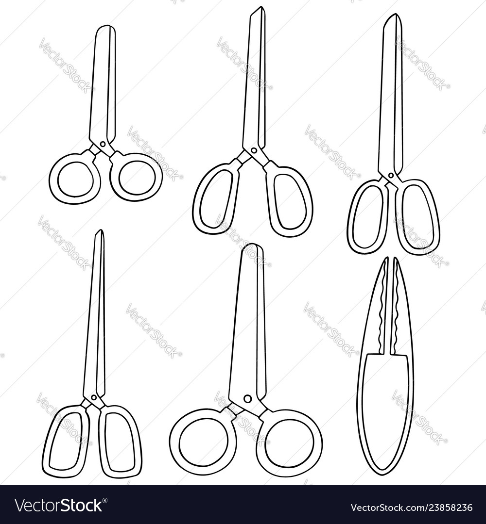Set of scissors vector image Set of scissors