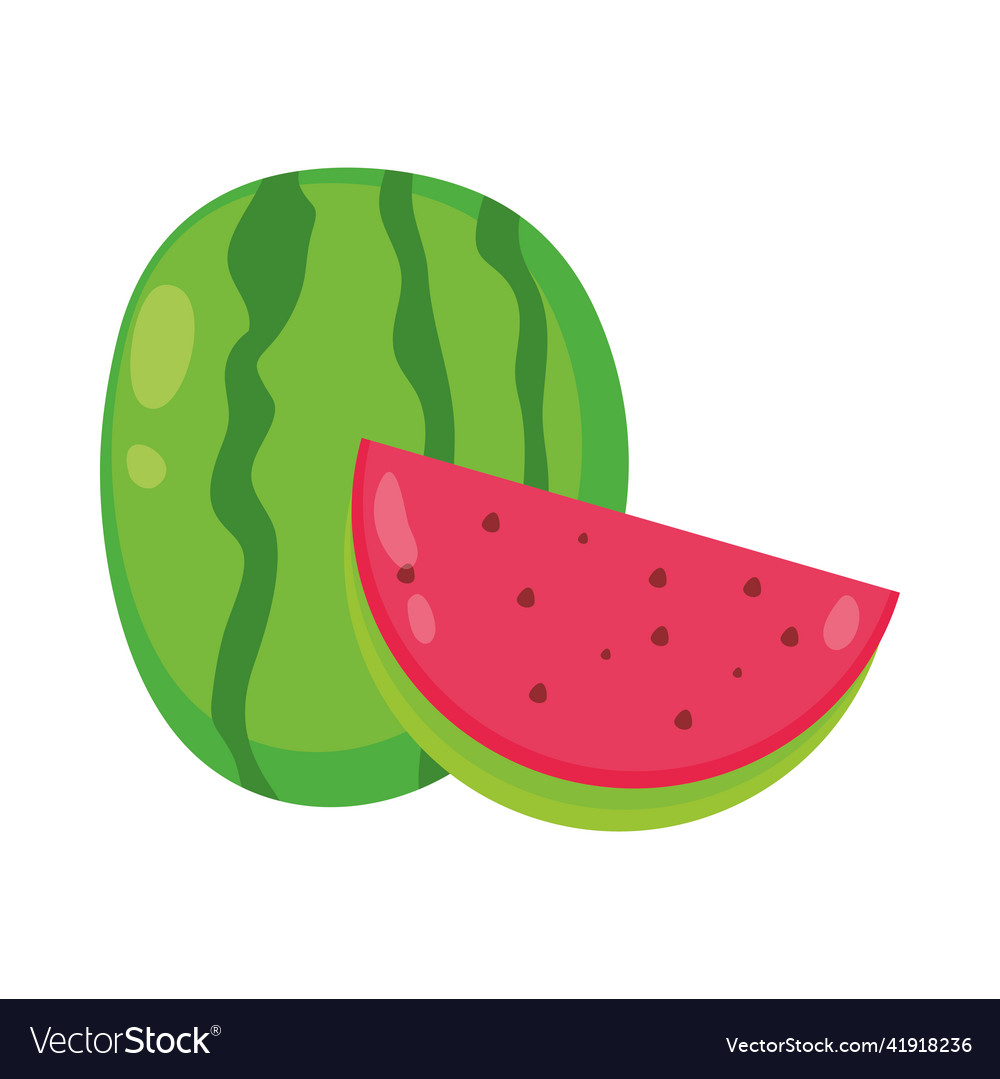 Tropical watermelon fruit Royalty Free Vector Image