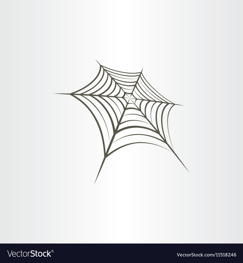 Intricate Spider Web