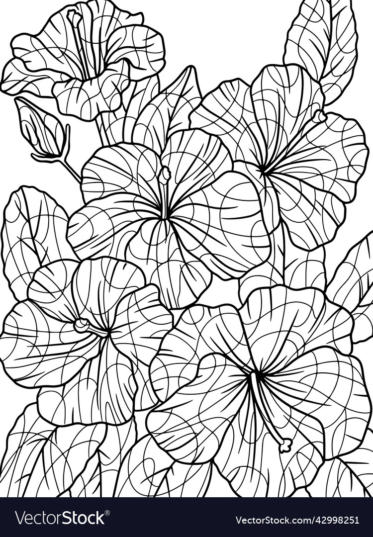 Hibiscus Flower Outline - Tropical Zen